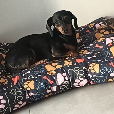 whatsapp image 2025 12 23 at 7.09.14 pm